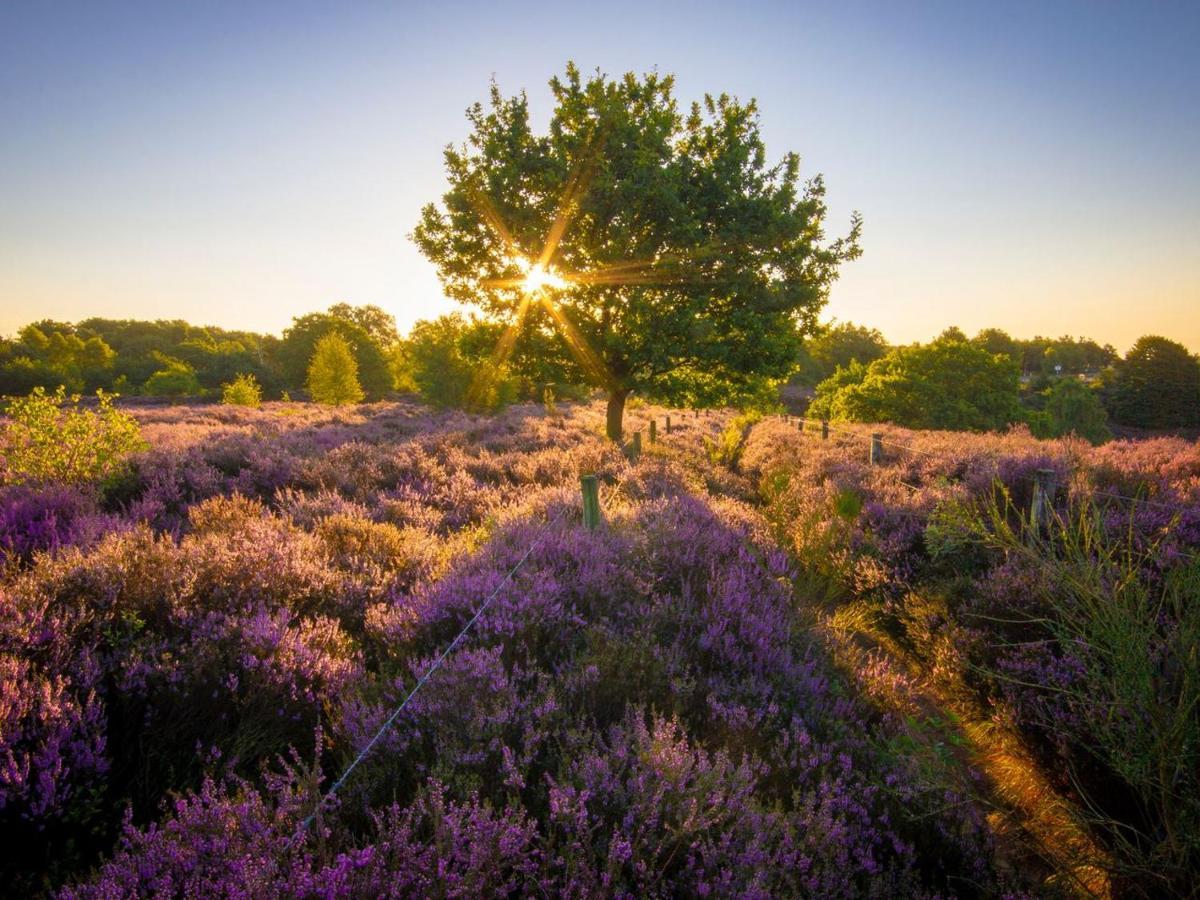 Landal Gooise Heide Otel Huizen Dış mekan fotoğraf
